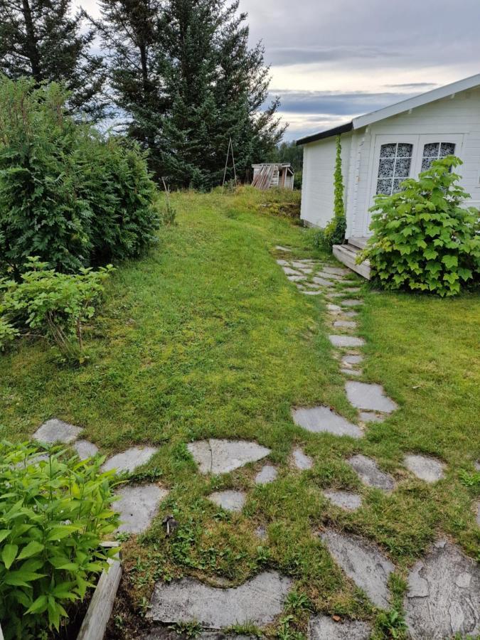 Warm And Cozy Cottage, Great Location Kvaloya Eksteriør bilde