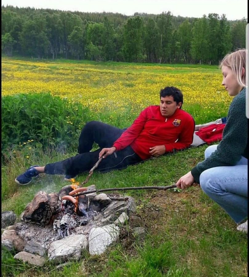 Warm And Cozy Cottage, Great Location Kvaloya Eksteriør bilde