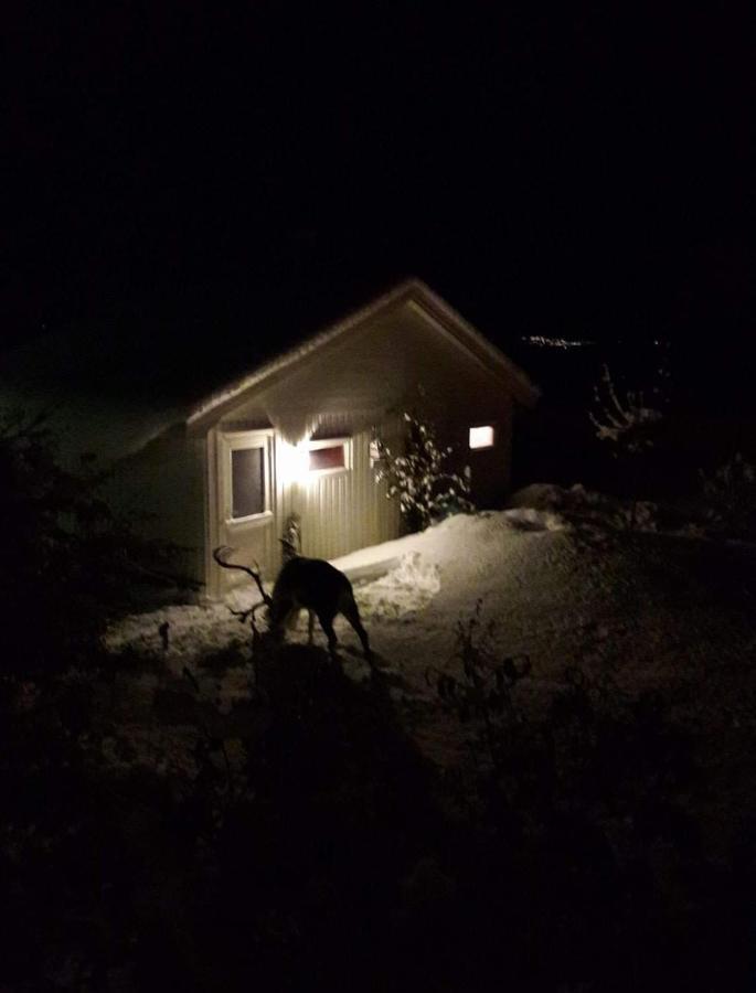 Warm And Cozy Cottage, Great Location Kvaloya Eksteriør bilde